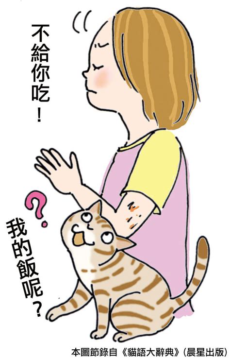 貓咪一直想進房間|別讓貓不信任你！ 飼主常有的8大NG行為